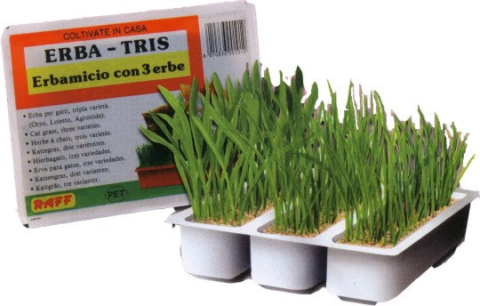 Easy Grass Grower