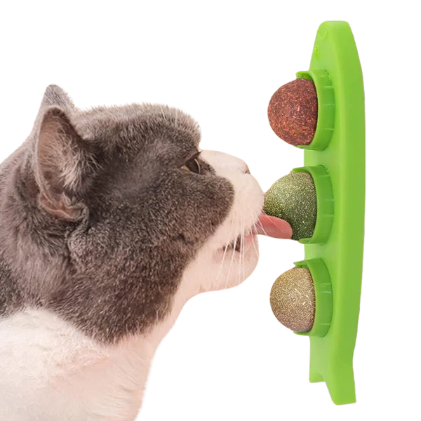 Stick-On Catnip Station