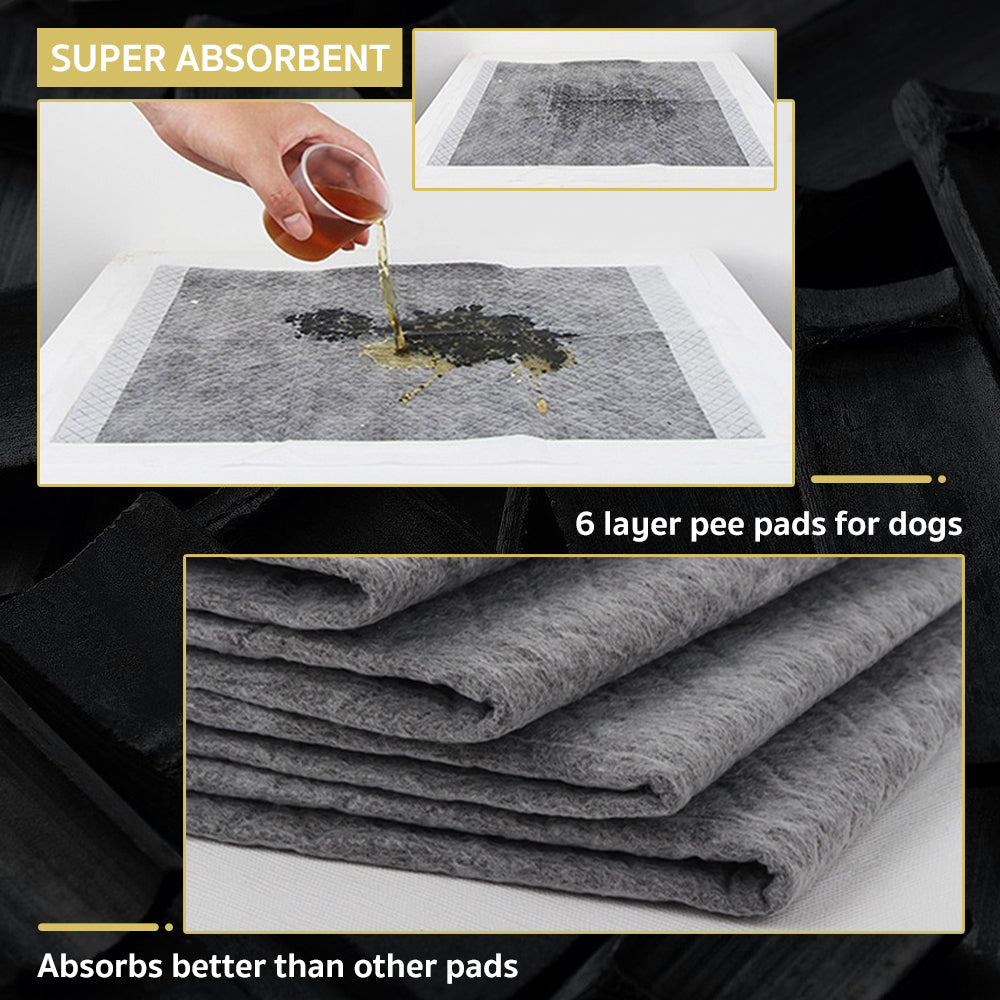 Easy Potty Pads