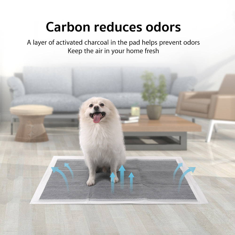Easy Potty Pads
