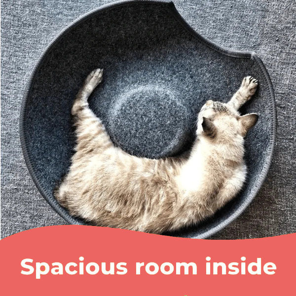 Cat Donut Felt Tunnel Bed