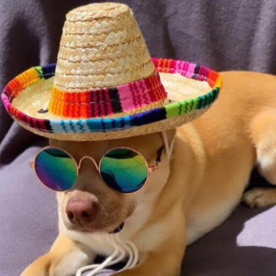 Cat/Dog Sunglasses