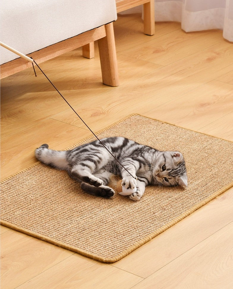 Cat Furniture Protector Scratch Mat Board 60x40cm